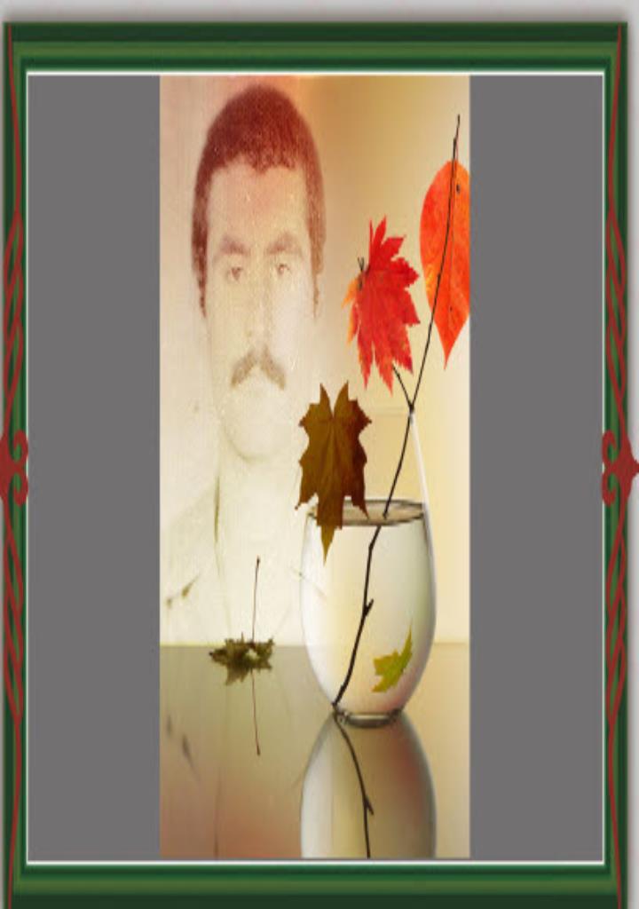 فاقد تصویر